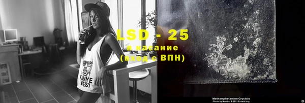 PSILOCYBIN Бугульма