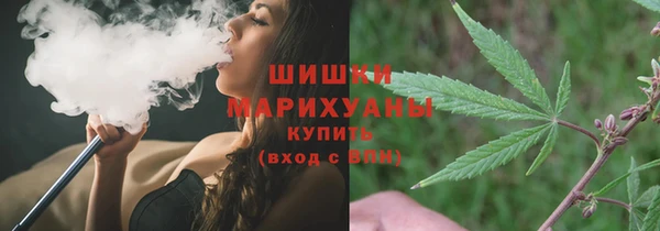 PSILOCYBIN Бугульма