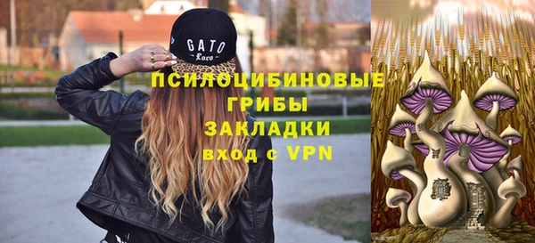 PSILOCYBIN Бугульма