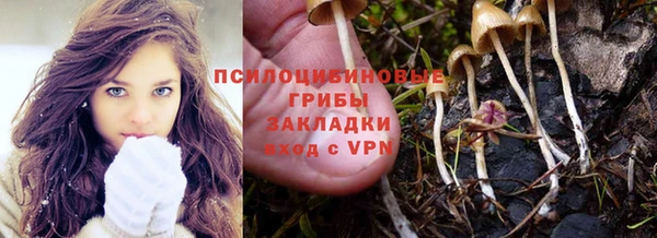 mdpv Бородино