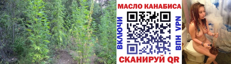 купить наркотик  Мытищи  Дистиллят ТГК THC oil 