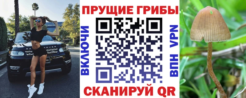 Галлюциногенные грибы MAGIC MUSHROOMS  Мытищи 