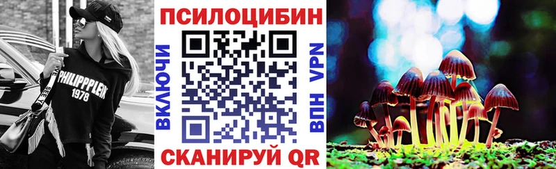 Галлюциногенные грибы Psilocybe Мытищи